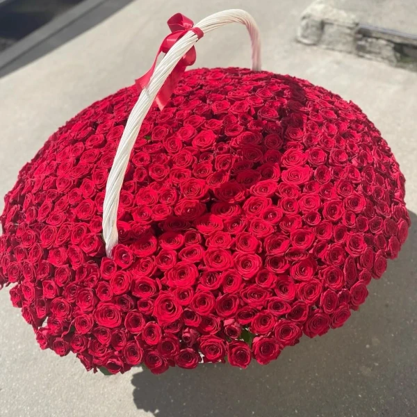 501 красная роза в корзине